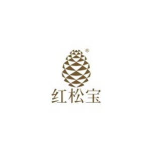 红松宝品牌logo