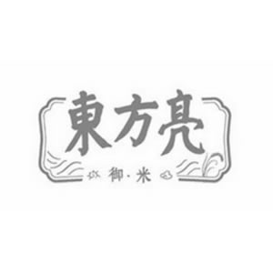东方亮品牌logo
