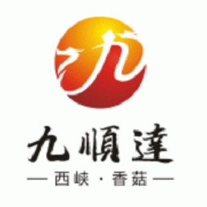 九顺达品牌Logo