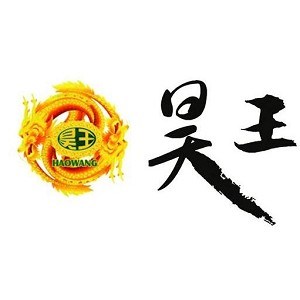 昊王品牌logo