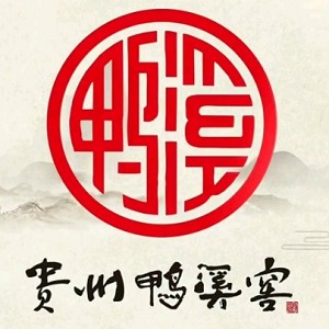 鸭溪品牌logo
