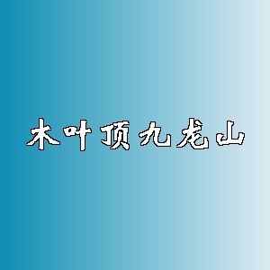 木叶顶九龙山品牌logo