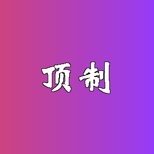 顶制品牌logo