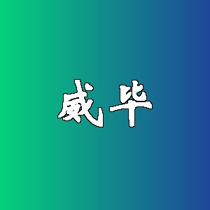 威毕品牌logo