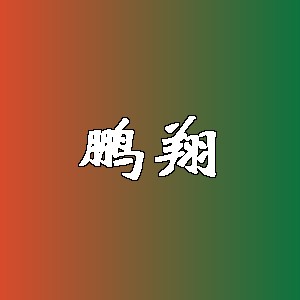 鹏翔品牌logo