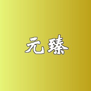 元臻品牌logo