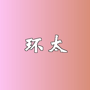 环太品牌logo