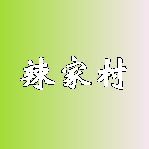辣家村品牌logo