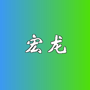 宏龙品牌logo