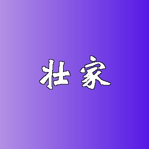 壮家品牌logo