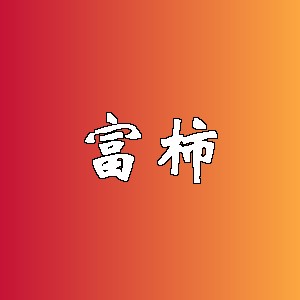 富柿品牌logo
