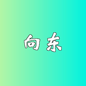 向东品牌logo