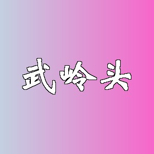 武岭头品牌logo