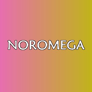 NOROMEGA品牌logo