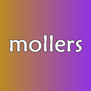 mollers品牌logo