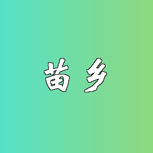 苗乡品牌logo