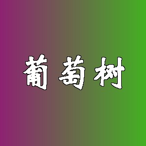 葡萄树