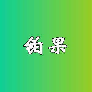 铂果品牌logo