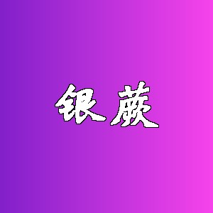 银蕨品牌logo