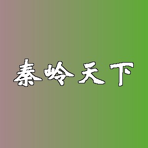 秦岭天下品牌logo