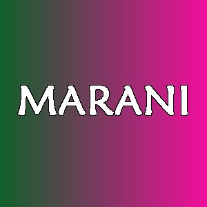 MARANI品牌logo