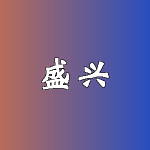 盛兴品牌logo