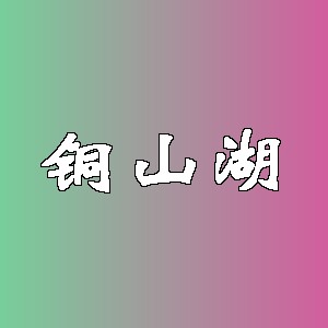 铜山湖品牌logo