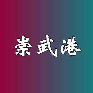 崇武港品牌logo