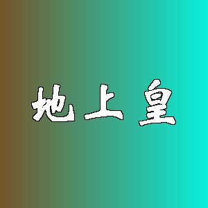 地上皇品牌logo