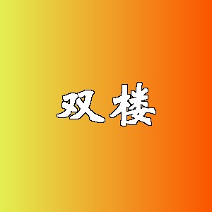 双楼品牌logo
