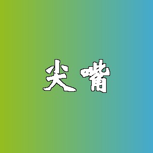 尖嘴品牌logo
