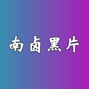南卤黑片品牌logo