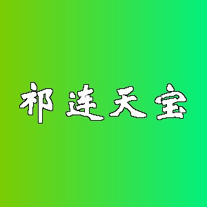 祁连天宝品牌logo