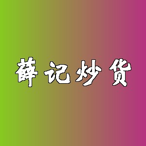 薛记炒货品牌logo