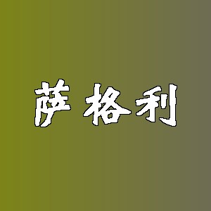 萨格利品牌logo