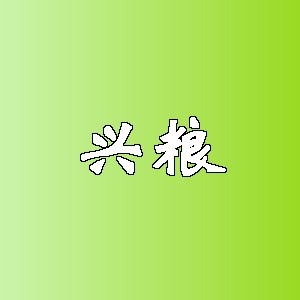 兴粮品牌logo