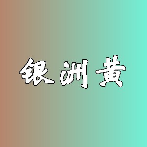 银洲黄