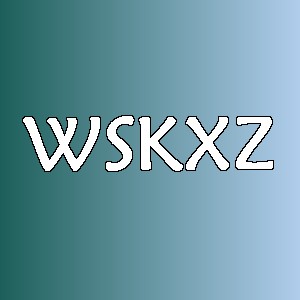 WSKXZ品牌logo