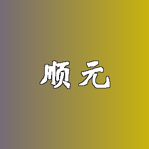 顺元品牌logo