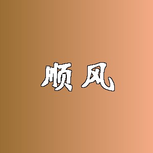 顺风品牌logo