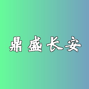 鼎盛长安品牌logo