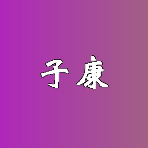 子康品牌logo