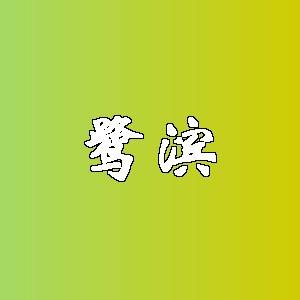 鹭滨品牌logo