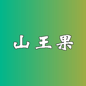 山王果品牌logo