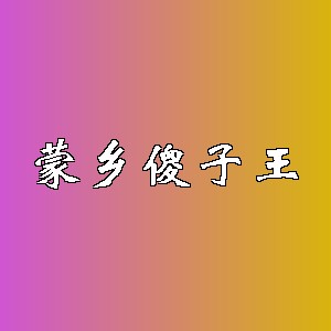 蒙乡傻子王品牌logo