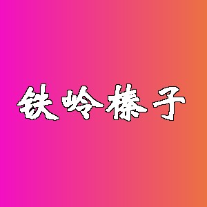 铁岭榛子品牌logo