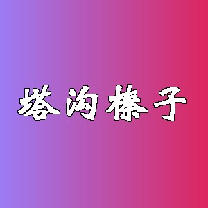 塔沟榛子品牌logo