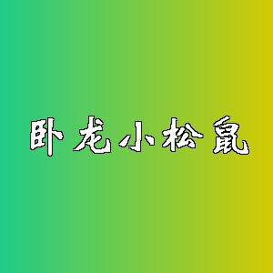 卧龙小松鼠品牌logo
