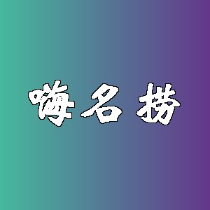 嗨名捞品牌logo