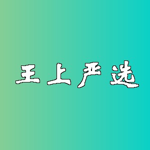 王上严选品牌logo